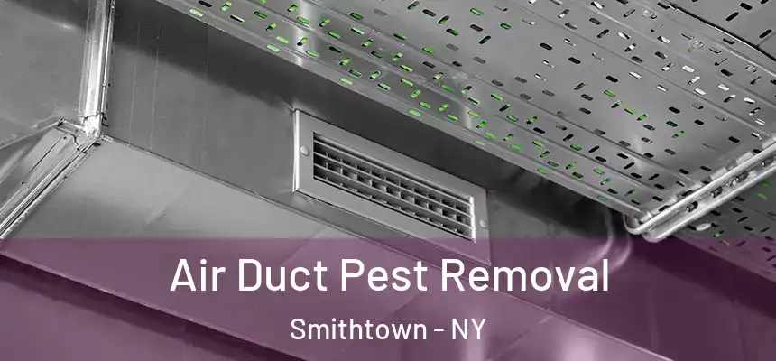 Air Duct Pest Removal Smithtown - NY