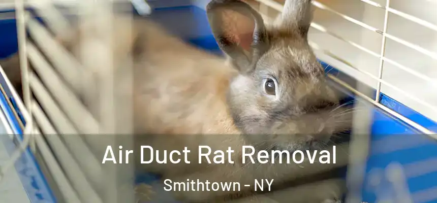  Air Duct Rat Removal Smithtown - NY