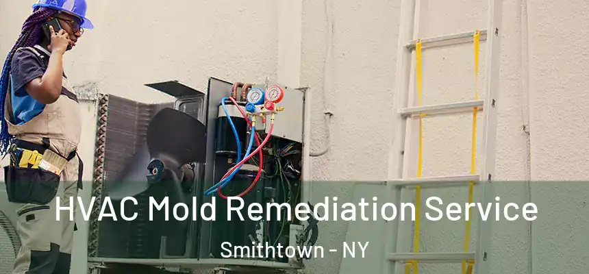  HVAC Mold Remediation Service Smithtown - NY