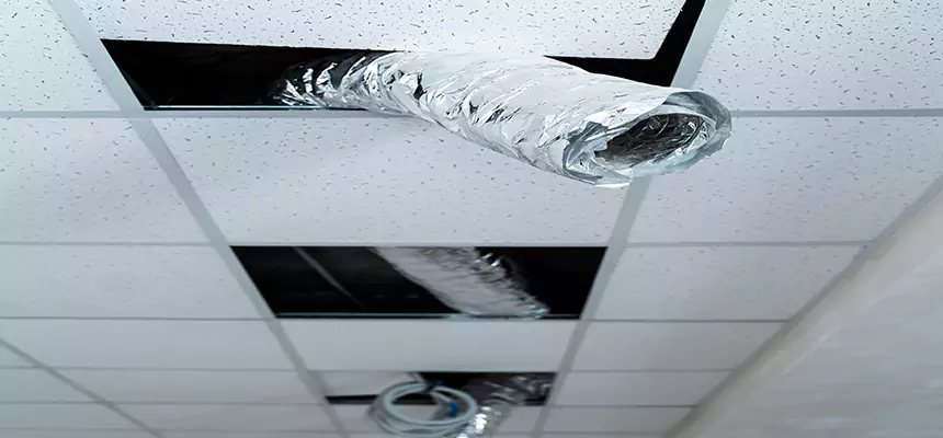 Our Air Duct Pet Hair Removal Services in Smithtown, NY