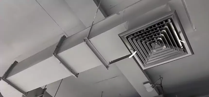 Our Pest Removal From Ducts Services in Smithtown, NY