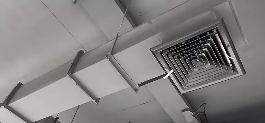 Our Rodent Droppings In Vents Services in Smithtown, NY