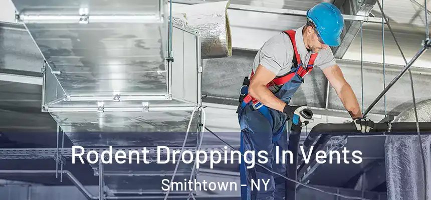  Rodent Droppings In Vents Smithtown - NY