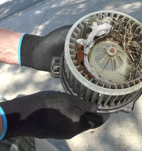 About Air Duct Mice Removal in Smithtown, NY