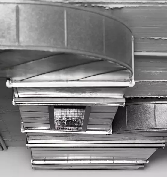 Professional Air Duct Pest Removal in Smithtown, NY